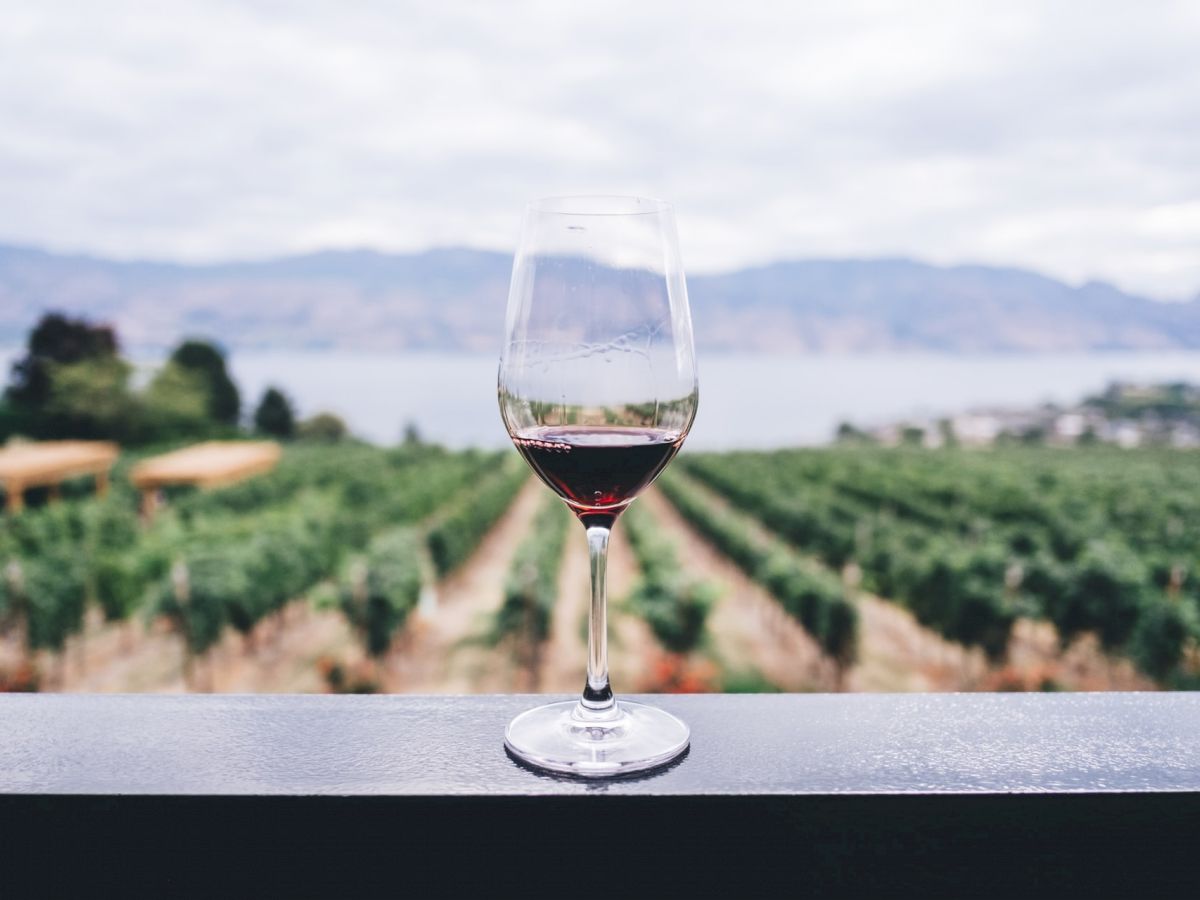 Quality Inn Near Six Flags Discovery Kingdom-Napa Valley