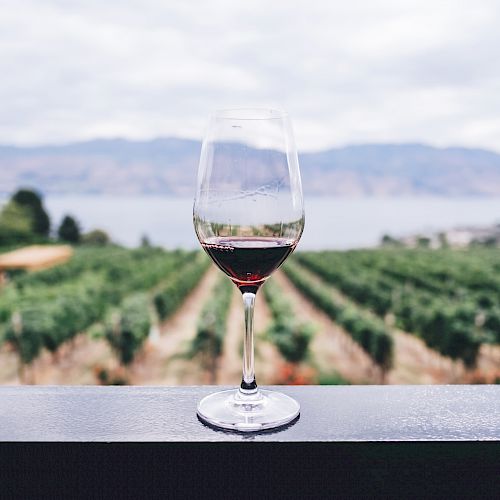 Quality Inn Near Six Flags Discovery Kingdom-Napa Valley
